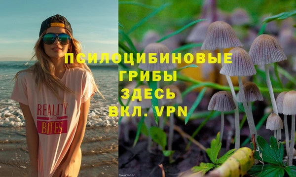 apvp Абинск