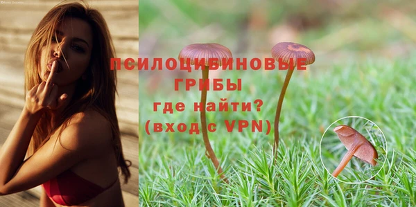 apvp Абинск
