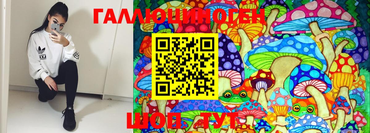 Галлюциногенные грибы MAGIC MUSHROOMS  Вход с VPN  Галлюциногенные грибы прущие грибы  Смоленск 